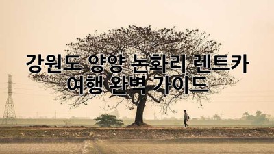 강원도 양양 논화리 렌트카 여행 완벽 가이드
