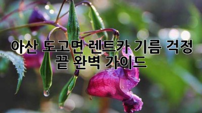 아산 도고면 렌트카, 기름 걱정 끝! 완벽 가이드