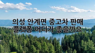 의성 안계면 중고차 판매 플랫폼, 어디가 좋을까요?